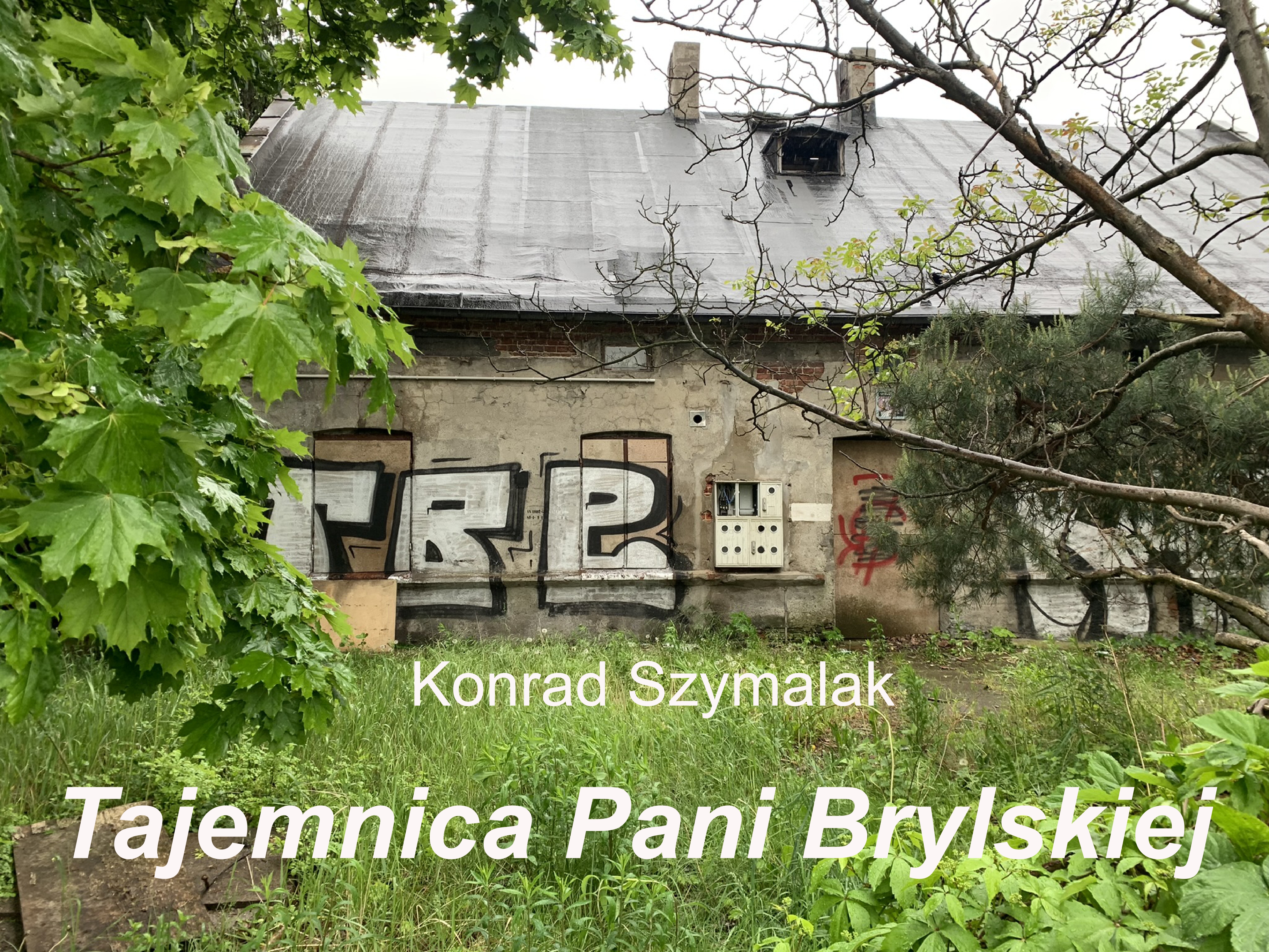 Tajemnica Pani Brylskiej